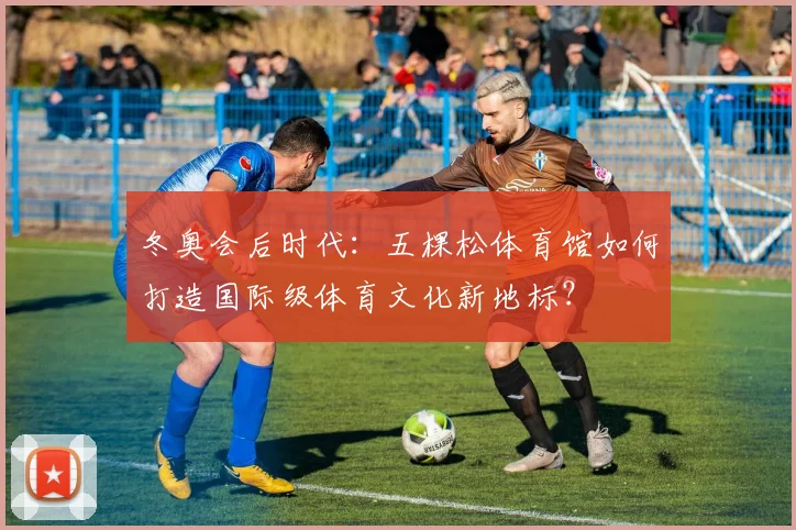 冬奥会后时代：五棵松体育馆如何打造国际级体育文化新地标？