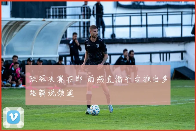 欧冠决赛在即 雨燕直播平台推出多路解说频道
