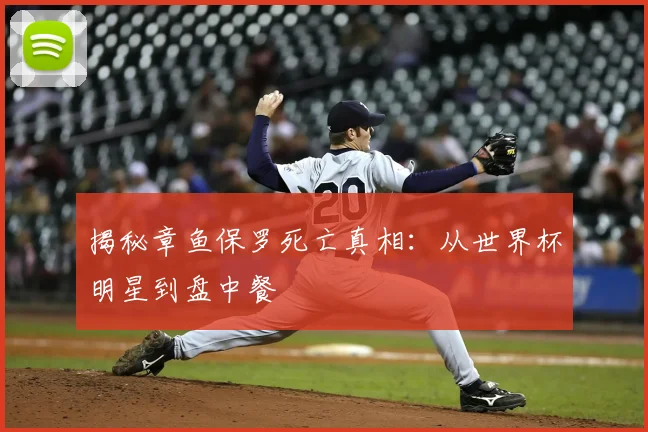 揭秘章鱼保罗死亡真相:从世界杯明星到盘中餐