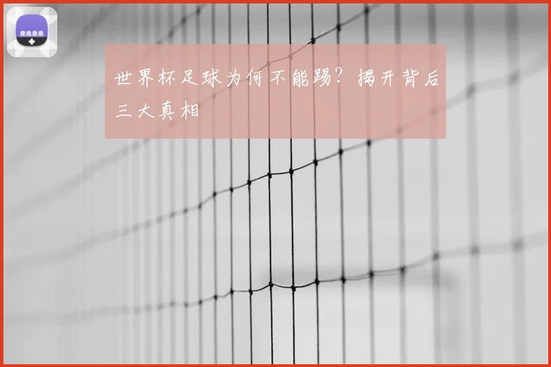 世界杯足球为何不能踢？揭开背后三大真相